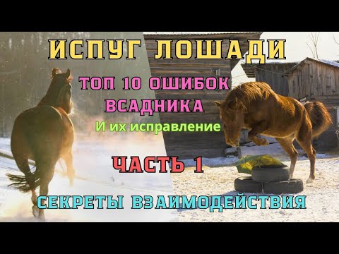 Видео: ИСПУГ лошади. 10 ОШИБОК всадников, когда лошадь ПУГАЕТСЯ и их ИСПРАВЛЕНИЕ