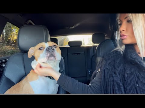 Видео: Формируйте правильно желания☝️Первые снежинки ❄️ ёлки собраны, таинственное возвращение обуви