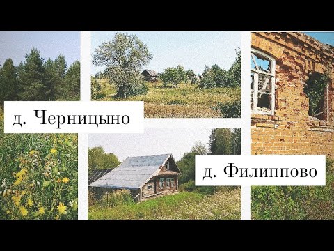 Видео: д. Черницино(Черничено) и д. Филиппово | Селижарово. Тверская область