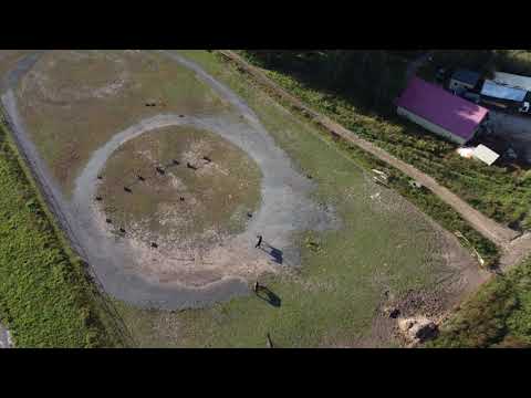 Видео: Наукоград Кольцово. Съемка с дрона