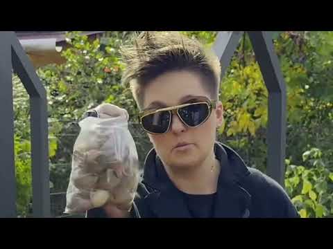 Видео: в эфире ТЮЛЬПАНЫ в высоких грядках🌷🌷🌷 Вы заказывали красоту для весны? А она есть у нас 🤌🏻