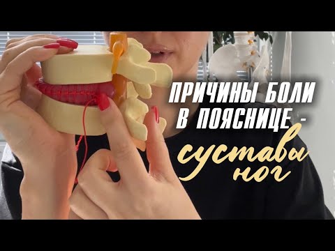 Видео: Почему болит поясница? Виновата не спина, а тазобедренные сустав