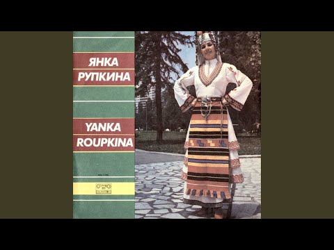 Видео: Кана на път седи