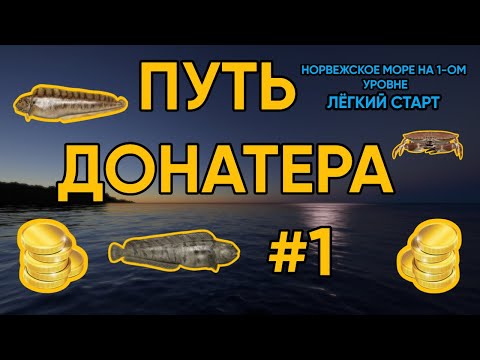 Видео: ПУТЬ ДОНАТЕРА #1 | РУССКАЯ РЫБАЛКА 4 | НОРВЕЖСКОЕ МОРЕ С ПЕРВОГО УРОВНЯ! СУПЕР ФАРМ РР4!