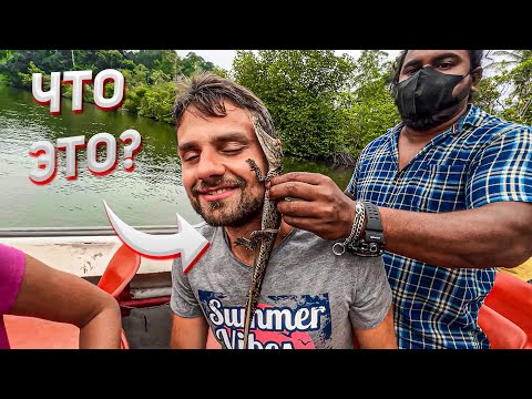 Видео: Плюсы и Минусы Шри Ланки Без Прикрас
