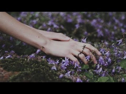 Видео: КАК СЕБЯ ЗАЗЕМЛЯТЬ