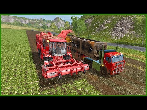 Видео: ФЕРМЕРУ ВЕРНУЛИ СТРАХОВКУ! СВЕКЛА ПОШЛА! - FARMING SIMULATOR 2017