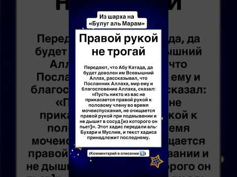 Видео: Правой рукой не трогай