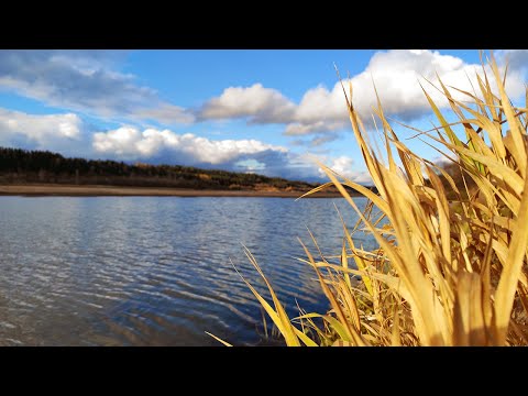 Видео: Осенняя рыбалка на Вятке. Рыбалка на донки и закидушки. Рыбалка с ночёвкой на острове. Поход в 30 км