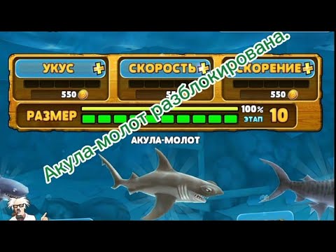 Видео: Hungry shark evolution. Акула-молот.