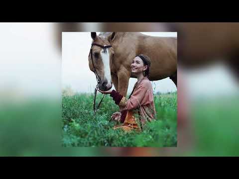Видео: Қазақша хит әндер | Жаңа әндер | Трендтегі әндер | Хиты на казахском