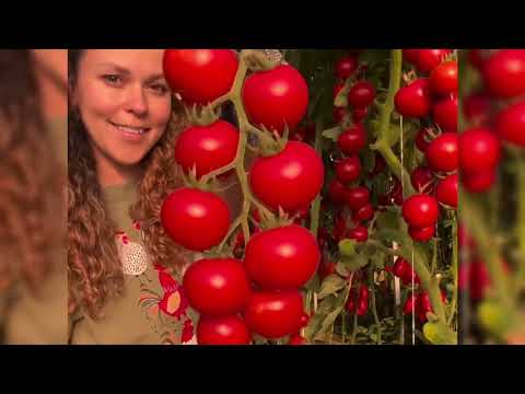 Видео: Доброе утро мои дорогие хорошего дня влог с Кубани #garden #жизньзагородом #рецепты #огород #shorts