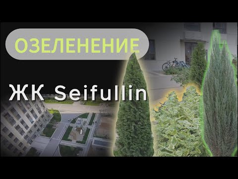Видео: Тенденции в озеленении и благоустройстве территории