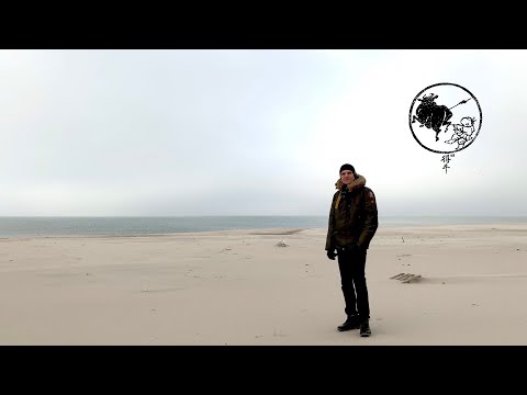 Видео: 11 быков дзен. 4-й бык. Уроки медитации. Серия 4