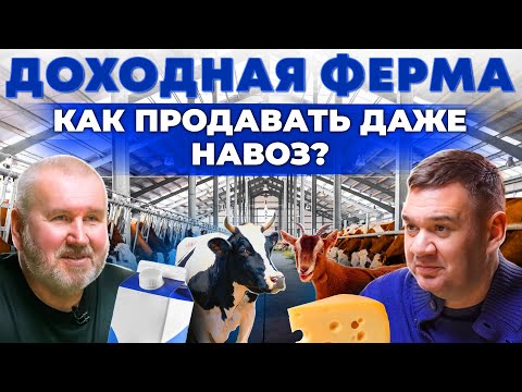 Видео: Прибыльная ферма почти без вложений | Как заработать даже на навозе? Андрей Даниленко