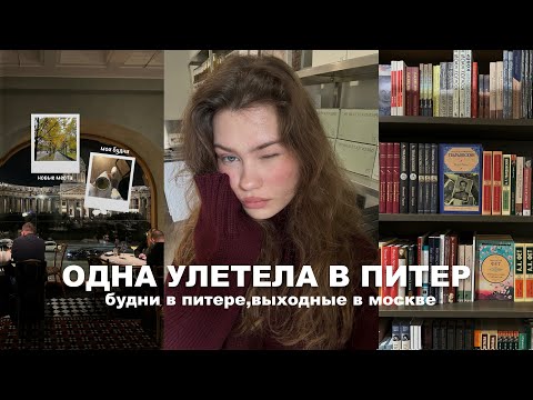 Видео: одна улетела в питер | мои будни