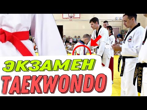Видео: АТТЕСТАЦИЯ ТХЭКВОНДО, ЭКЗАМЕН НА КРАСНО-КОРИЧНЕВЫЙ ПОЯС #тхэквондо