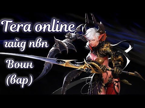 Видео: 🌌 Воин гайд pvp tera online
