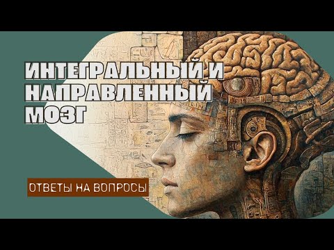 Видео: Цзе Кун. Интегральный и направленный мозг. Ответы на вопросы