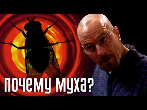 Видео: Психологический анализ 'Во все тяжкие': Что На Самом Деле Значит 'Муха'?