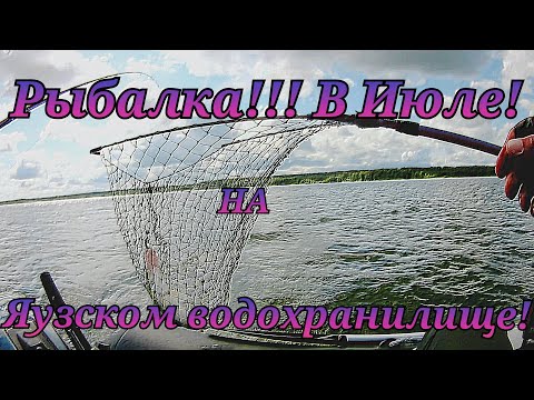Видео: Июльский спиннинг на Яузском водохранилище!!!