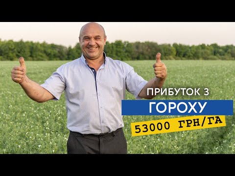 Видео: Горох 9,3 тони в заліку! Куди подіти врожай, та особливості вирощування гороху