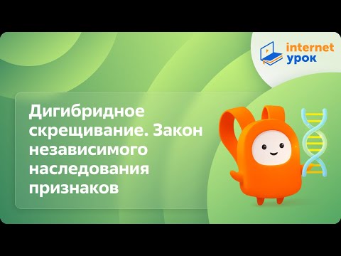 Видео: Дигибридное скрещивание. Закон независимого наследования признаков. Видеоурок по биологии 10 класс