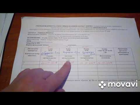 Видео: Схема Ovsing. Синхронизация охоты у коров