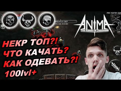 Видео: Anima ARPG Первый гайд на некроманта. Первый взгляд 100+ уровень. Что качать? Какие статы?