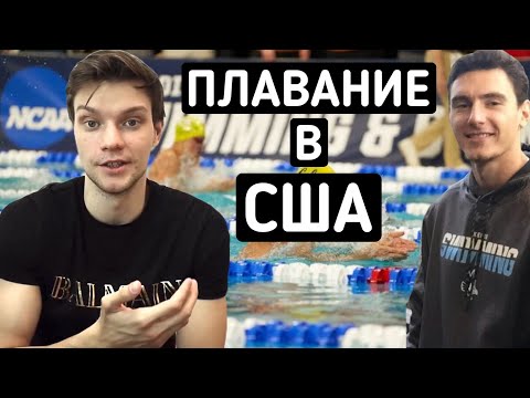 Видео: Плавание в США - Как получить спортивную стипендию в Америке по плаванию?