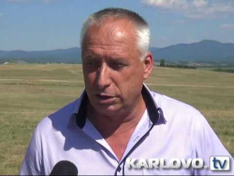 Видео: Скандал: Загробили кравите от Васил Левски на общинската мера в Соколица