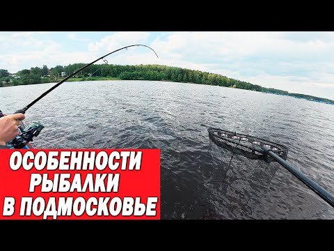 Видео: Стоит ли ловить рыбу в ПОДМОСКОВЬЕ? Или уехать дальше от Москвы?