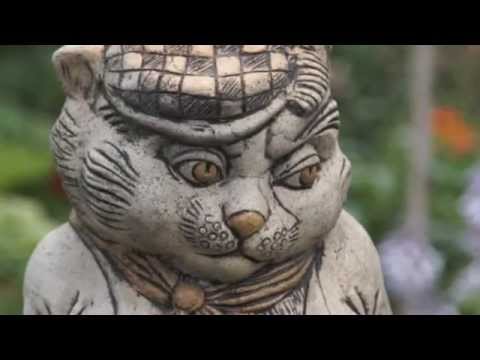 Видео: Питерские коты