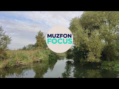Видео: Музыка для работы и занятий | Фоновая музыка без слов без мата @MUZFONFOCUS