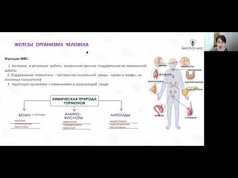 Видео: Лекция 45  Железы
