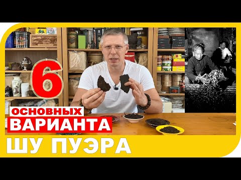Видео: КАКИМ БЫВАЕТ ШУ ПУЭР?  6 основных вариантов производства чая.