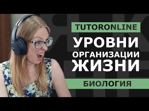 Видео: Биология | Уровни организации жизни