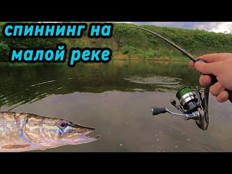 Видео: Спиннинговая рыбалка на малой реке! Один воблер ловит ВСЁ