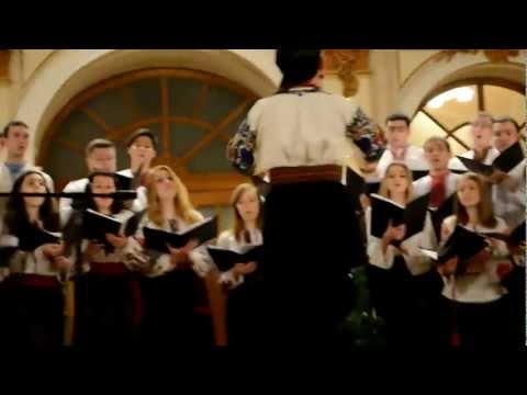 Видео: Пречистая Діва (Володимир Якимець)