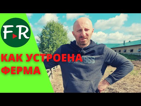 Видео: Как устроена овечья ферма? Сколько электричества потребляет ферма Покров? Как устроена купка овец?