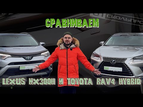 Видео: Разные снаружи, одинаковые внутри😏 Сравниваем Lexus NX300H и Toyota RAV4 Hybrid