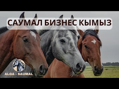 Видео: Бизнес Кобылье молоко - САУМАЛ КУМЫС ҚЫМЫЗ ALGA-SAUMAL наш бренд обзор