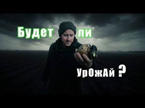 Видео: Пилорама, огород, стройка! Делаю все и сразу!