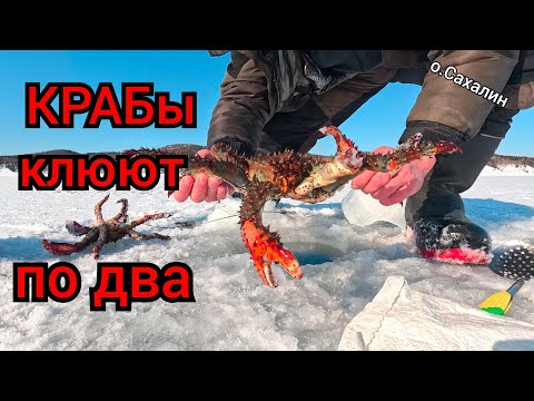 Видео: КРАБы клюют по два. Опасный лёд.