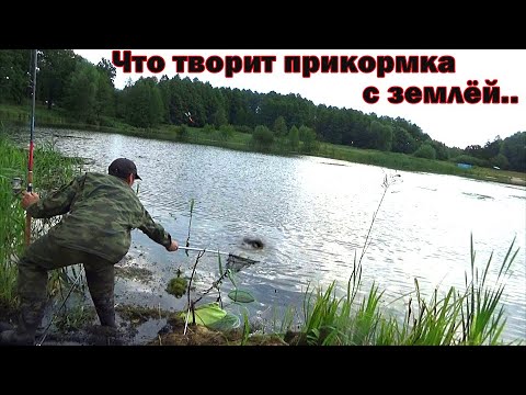 Видео: Монстры на забытом рыбаками озере! Рыбалка на карася на поплавок 43 серия, 4 сезон