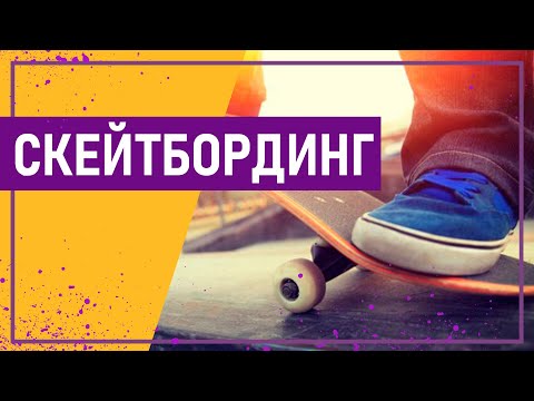 Видео: Вот это спорт! СКЕЙТБОРДИНГ