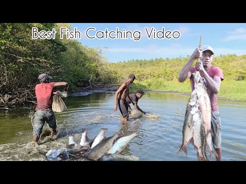 Видео: Удивительное и самое веселое видео о ловле рыбы (Beze Hunting)