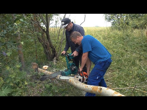 Видео: Старая советская бензопила Дружба против немецкой SHTIL 180