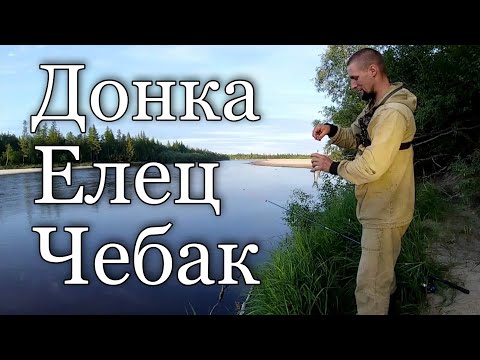 Видео: Рыбалка на донку. Елец, Чебак.Рыбалка удалась!