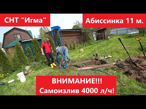 Видео: Самоизлив 4 тонны! Абиссинка 11 м. СНТ "Игма".